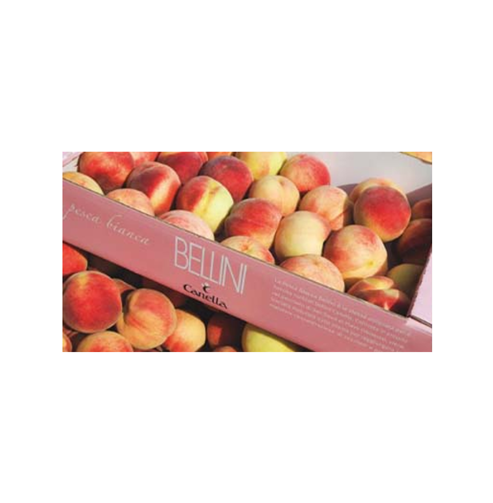 Canella L'aperitivo BELLINI traditionell venezianischer Cocktail 750ml