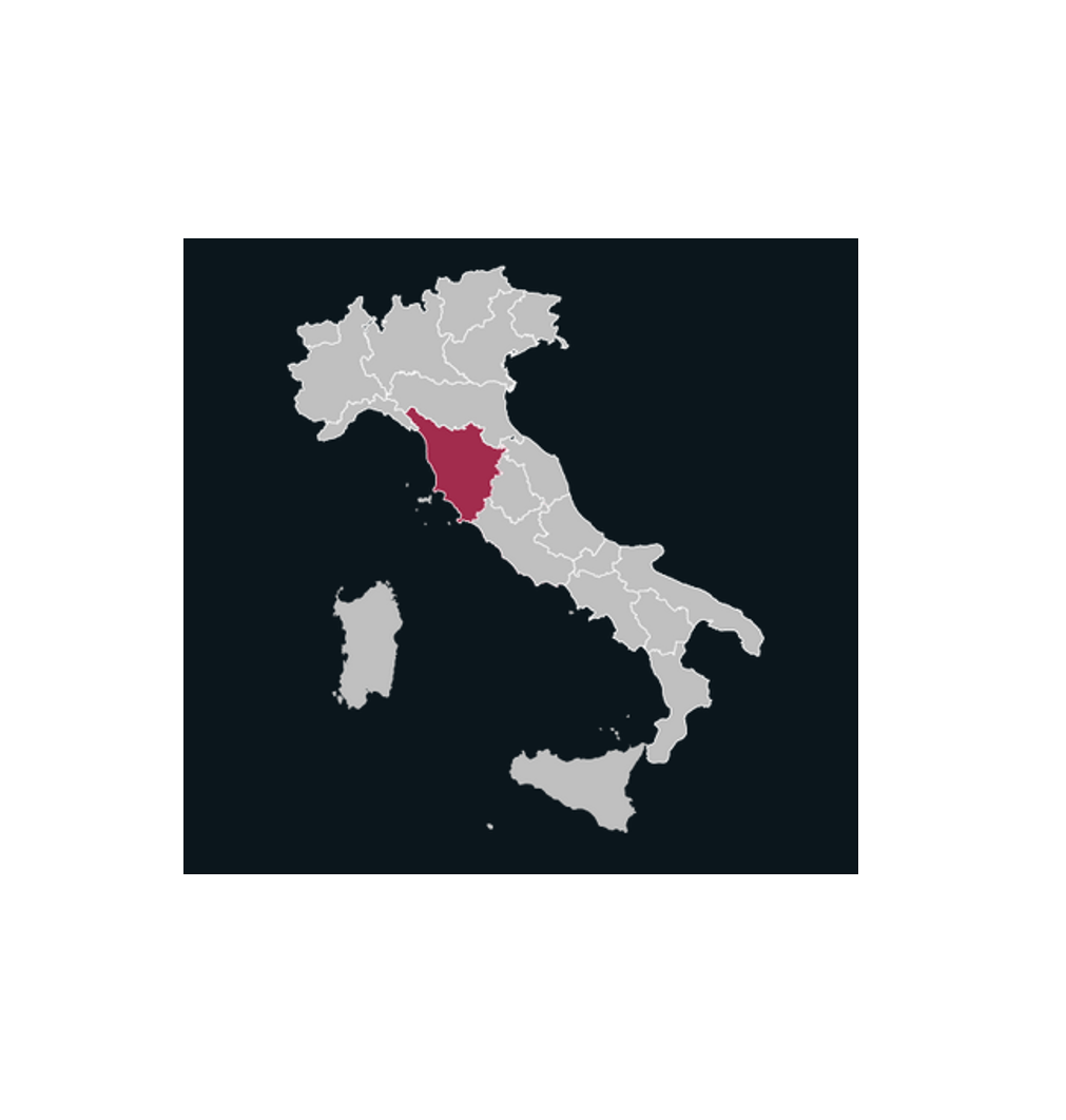 VIGNETI LA SELVANELLA Riserva Chianti Classico DOCG, Toskana 750ml