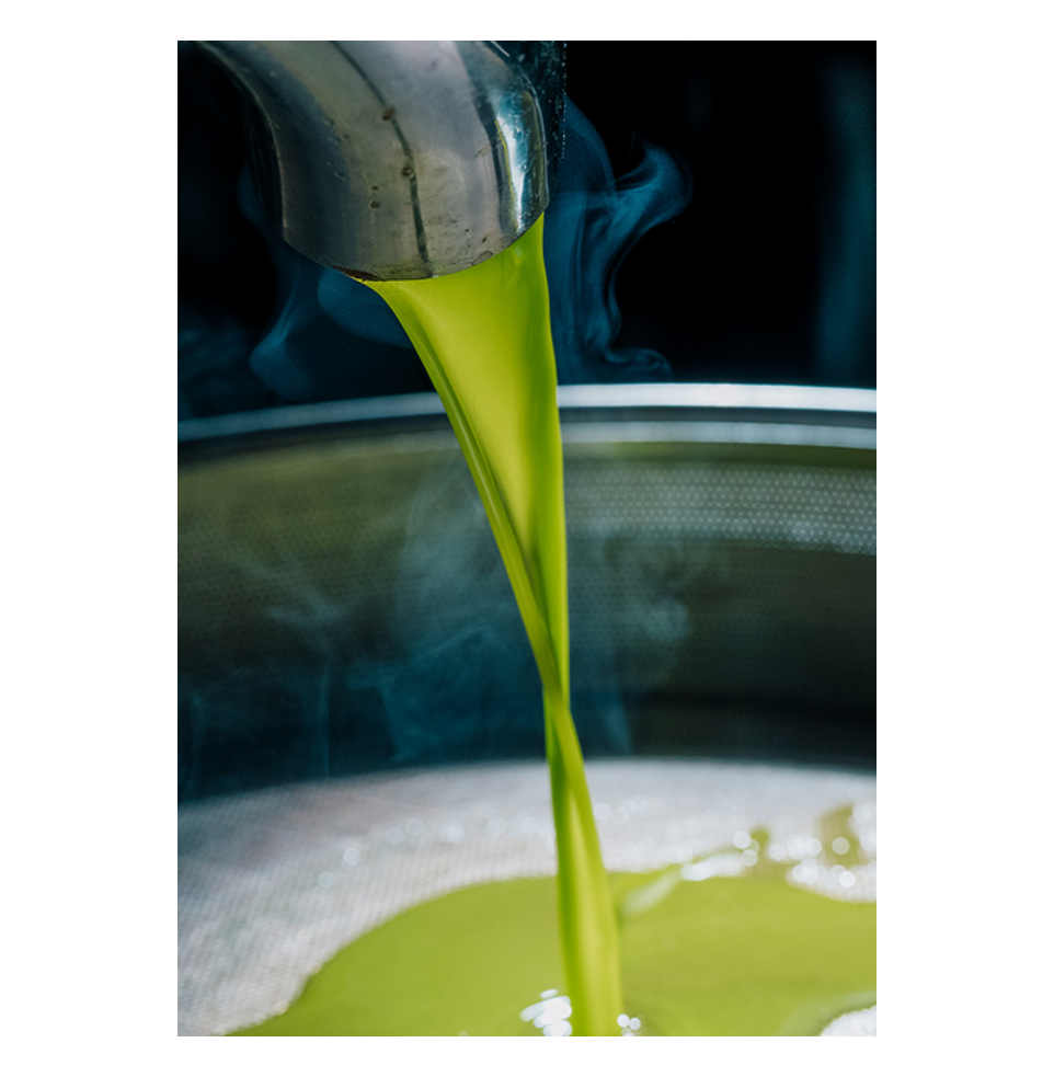 Planeta Olio Extra Vergine di Oliva Sicilia IGP Biologico ( IT-BIO-015), 500ml